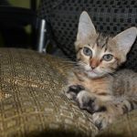 Teknik Fotografi Dasar yang Wajib Diketahui Fotografer (part 1 to 3)