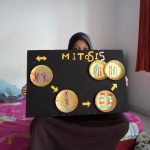 Pembelahan Mitosis