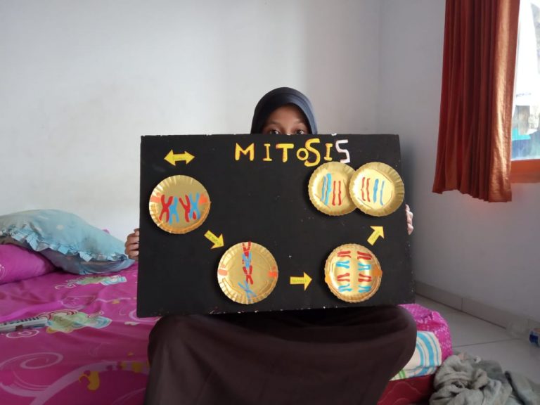 Pembelahan Mitosis