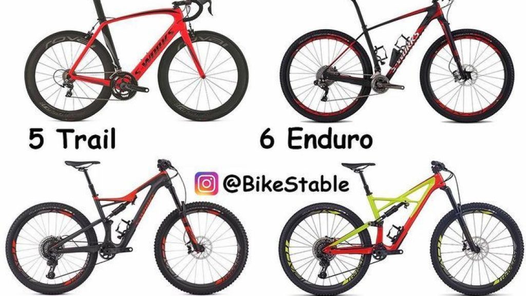 Tipe Sepeda Gunung Tipe Sepeda Gunung