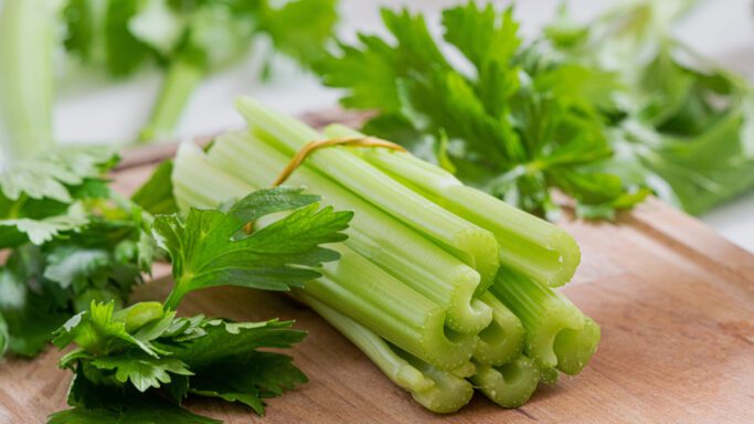 Manfaat Daun Seledri