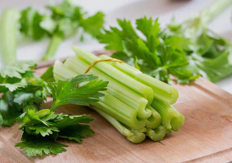 Manfaat Daun Seledri