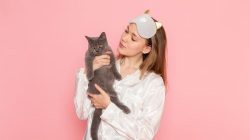 Memahami Rahasia Bahasa Kucing
