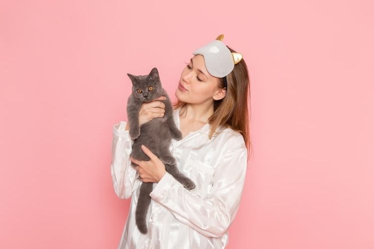 Memahami Rahasia Bahasa Kucing