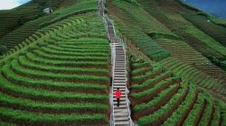 Potensi Wisata Alam Kabupaten Majalengka