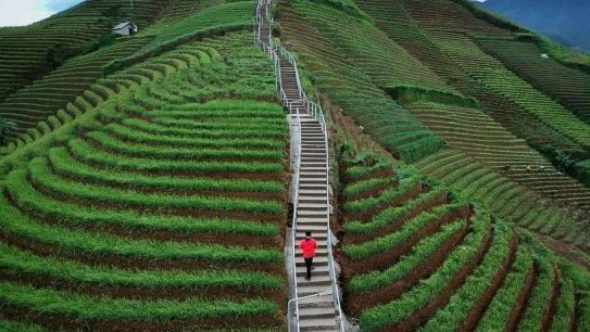 Pengalaman Terbaik di Wisata Majalengka, Jangan Lewatkan!