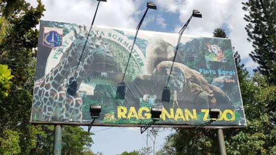 Ragunan Buka Malam, Ini Harga Tiketnya